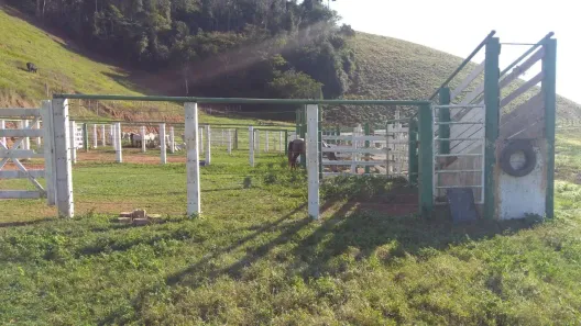 Fazenda/Sítio com 2 Quartos à venda, 1000000m² no Centro, Mimoso do Sul