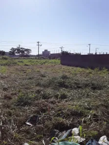 Lote/Terreno à venda, 300m² no Fazenda Santo Antônio, Campos dos Goytacazes