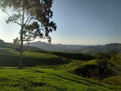 Fazenda/Sítio com 2 Quartos à venda, 250m² no , Descoberto