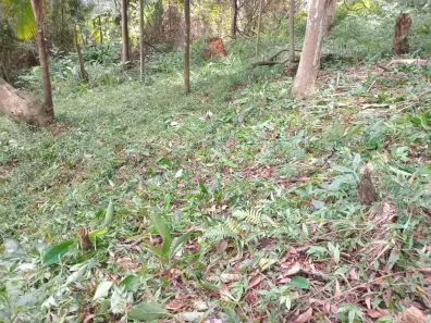 Lote/Terreno à venda, 2645m² no Fazenda Morumbi, São Paulo