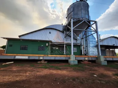 Fazenda/Sítio com 4 Quartos à venda, 10170000m² no , Campinorte