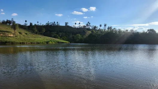 Fazenda/Sítio à venda, 20000m² no , São José da Lapa