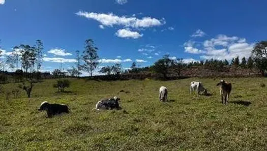 com 6 Quartos à venda, 15m² no Campo Grande, Pilar do Sul