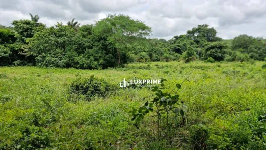 Fazenda/Sítio à venda, 663300m² no Centro, Porto Nacional