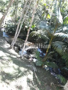 Fazenda/Sítio à venda, 40000m² no São João, Brusque