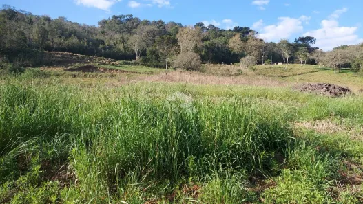Fazenda/Sítio à venda, 20000m² no , Veranópolis