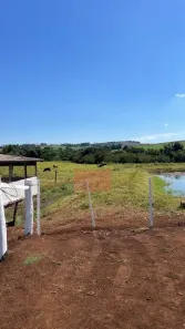Fazenda/Sítio com 3 Quartos à venda, 36000m² no , Sertanópolis