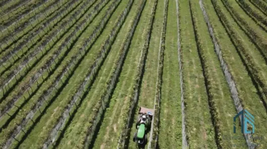 Fazenda/Sítio com 1 Quarto à venda, 200000m² no , São Joaquim