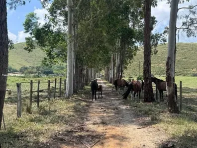 Fazenda/Sítio com 6 Quartos à venda, 340000m² no , Rio Bonito