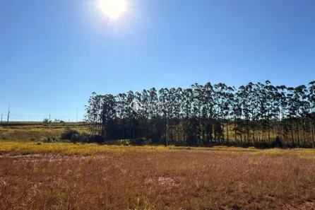 Lote/Terreno para alugar, 704m² no Morada Gaúcha, Gravataí