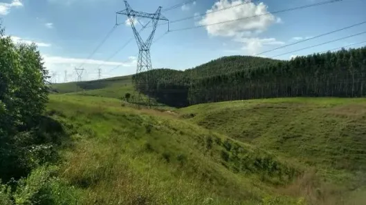 Fazenda/Sítio à venda, 726000m² no Centro, Campos dos Goytacazes