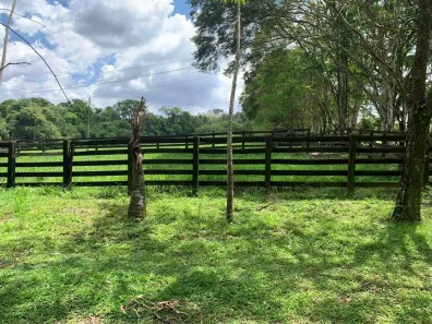 Fazenda/Sítio à venda, 135000m² no Bairro dos Pires, Limeira