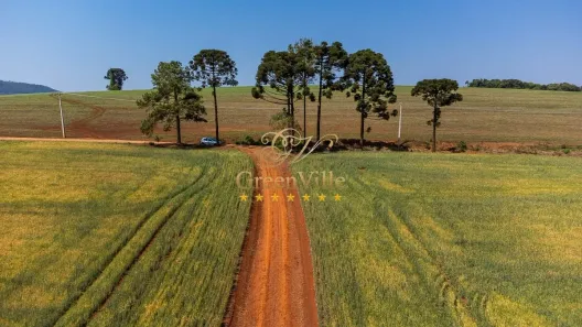 Fazenda/Sítio com 2 Quartos à venda, 1051900m² no , Tibagi