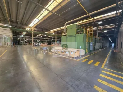 Galpão/Depósito/Armazém para alugar, 5313m² no Água Chata, Guarulhos