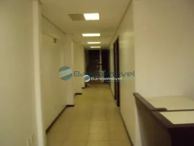 Casa com 4 Quartos para alugar, 400m² no Jardim Proença, Campinas