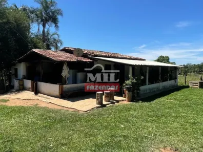 Fazenda/Sítio à venda, 1m² no , Goiás
