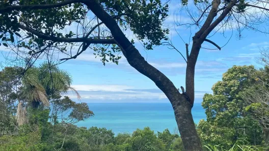 Lote/Terreno à venda, 3717m² no , Garopaba