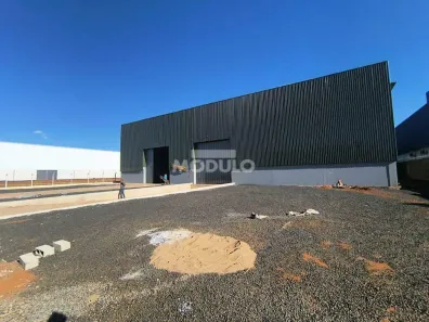 Galpão/Depósito/Armazém para alugar, 2500m² no Loteamento Centro Empresarial Leste III, Uberlândia