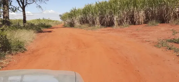 Fazenda/Sítio com 1 Quarto à venda, 217800m² no , Cajuru