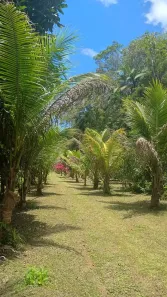 Fazenda/Sítio com 3 Quartos à venda, 85m² no , Itanhaém