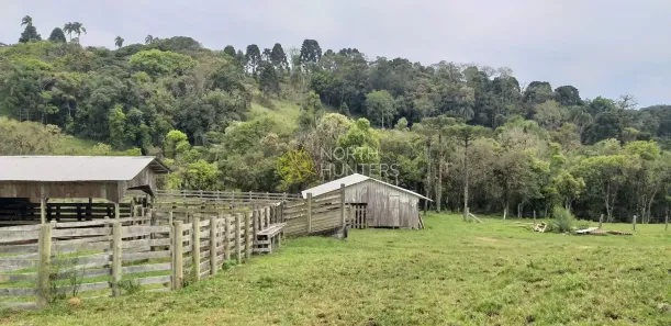 Fazenda/Sítio com 1 Quarto à venda, 248m² no , Campo Alegre