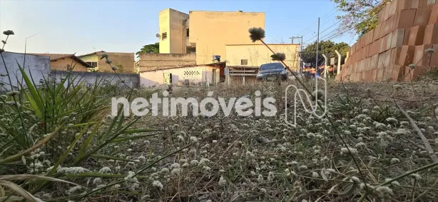 Lote/Terreno à venda, 361m² no São Gabriel, Belo Horizonte