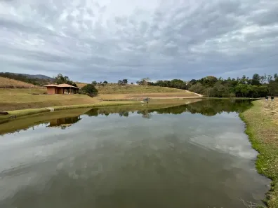 Fazenda/Sítio à venda, 135000m² no Alto da Paulista, São João da Boa Vista