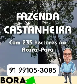 Fazenda/Sítio com 2 Quartos à venda, 2350000m² no Acará, Acará