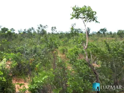 Lote/Terreno à venda, 1691m² no , Lizarda