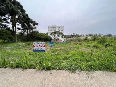Lote/Terreno à venda, 32m² no Reolon, Caxias do Sul