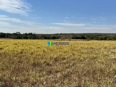 Fazenda/Sítio com 1 Quarto à venda, 530m² no , Cordisburgo