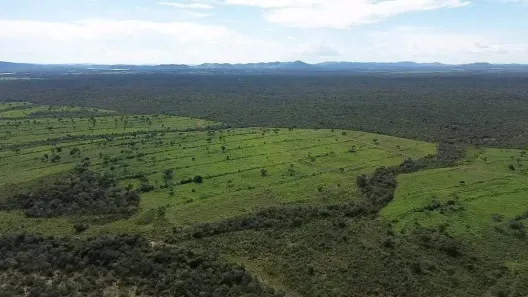 Fazenda/Sítio à venda, 1076m² no Zona Rural, Paranã