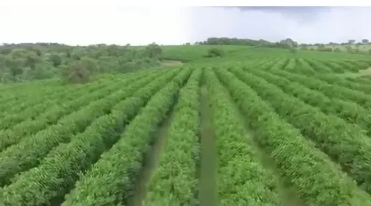 Fazenda/Sítio à venda, 100m² no , Indiaporã