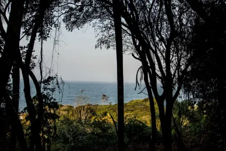 Imóvel Comercial à venda, 10000m² no Armação do Pântano do Sul, Florianópolis