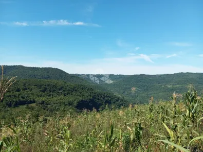 Fazenda/Sítio à venda, 25057m² no Nova Petrópolis, Nova Petrópolis