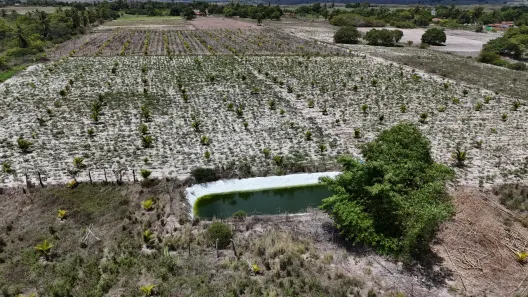 Fazenda/Sítio com 2 Quartos à venda, 55000m² no , Macaíba