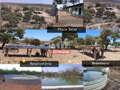 Fazenda/Sítio à venda, 500m² no , Paranã