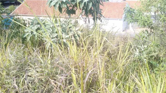 Lote/Terreno à venda, 990m² no Chácaras Bredariol, Itatiba