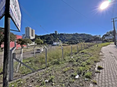 Lote/Terreno para alugar, 5863m² no Bela Vista, Caxias do Sul