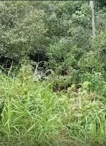 Lote/Terreno à venda, 1800m² no Balneario Gaivotas, Itanhaém