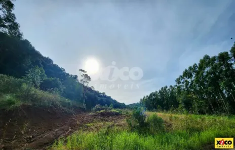 Lote/Terreno à venda, 5000m² no , Nova Petrópolis