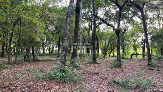 Lote/Terreno à venda, 6250m² no Aldeia Velha, Chapada dos Guimarães