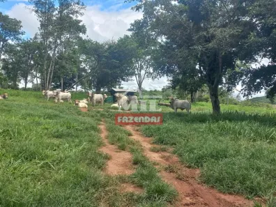 Fazenda/Sítio à venda, 500m² no , Jandaia