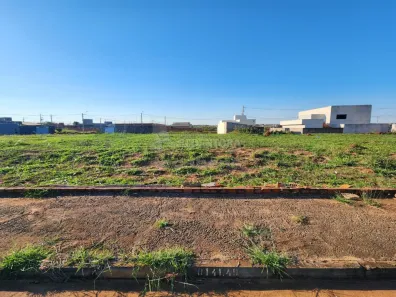 Lote/Terreno à venda, 664m² no Jardim Girassol, Mirassol