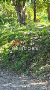 Fazenda/Sítio com 3 Quartos à venda, 300m² no Ravena, Sabará