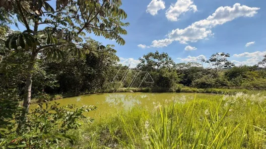 Fazenda/Sítio à venda, 4400m² no Professora Liliana de Sousa Gonzaga, Marília