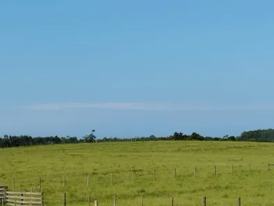 Lote/Terreno à venda, 20000m² no Lagoa do Faxinal, Balneário Rincão