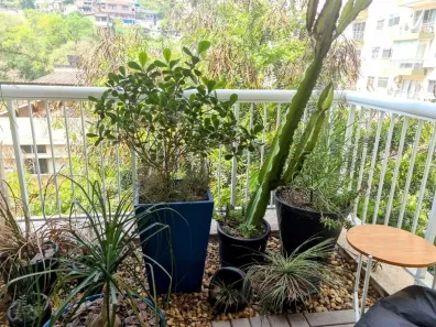 Apartamento com 1 Quarto à venda, 60m² no Icaraí, Niterói