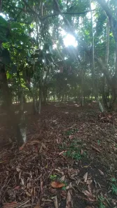 Lote/Terreno à venda, 112500m² no Área Rural de Manaus, Manaus