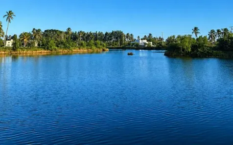 Lote/Terreno à venda, 228m² no , Japaratinga